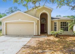 Bank Foreclosures in WESLEY CHAPEL, FL