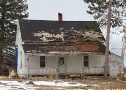 Bank Foreclosures in SPRUCE, MI