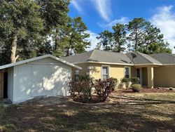 Bank Foreclosures in UMATILLA, FL