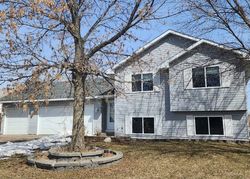 Bank Foreclosures in SHAFER, MN