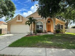 Bank Foreclosures in VALRICO, FL