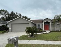 Bank Foreclosures in LUTZ, FL