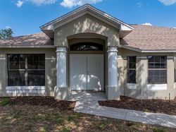 Bank Foreclosures in AUBURNDALE, FL