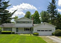 Bank Foreclosures in NORTH STREET, MI