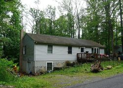 Bank Foreclosures in WINCHESTER, VA