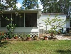 Bank Foreclosures in BUNNELL, FL