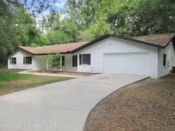 Bank Foreclosures in BROOKSVILLE, FL