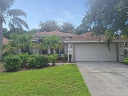 Bank Foreclosures in TARPON SPRINGS, FL