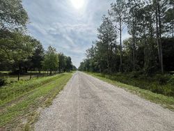 Bank Foreclosures in HASTINGS, FL